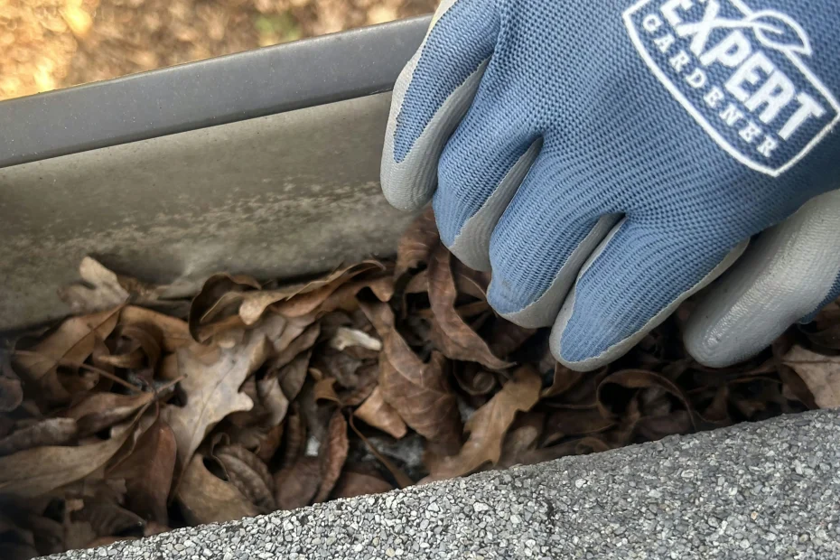 Gutter Cleaning Ocean View