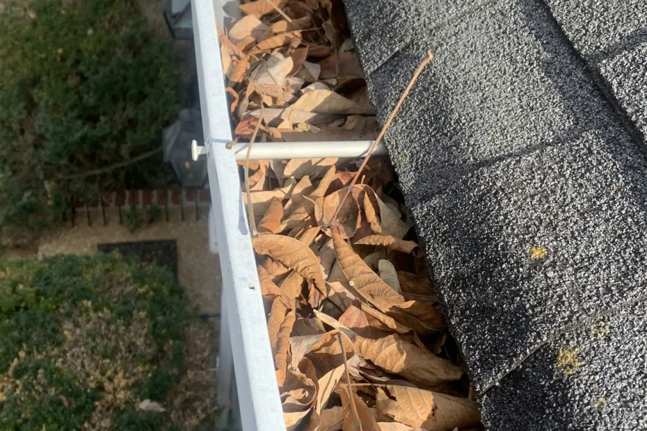 Gutter Cleaning Ocean View