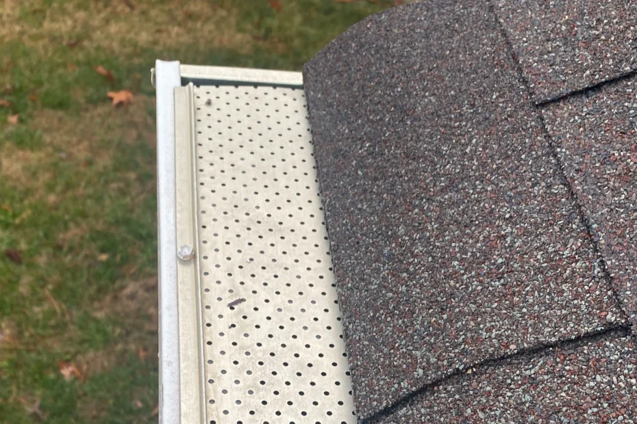 Gutter Cleaning Ocean View