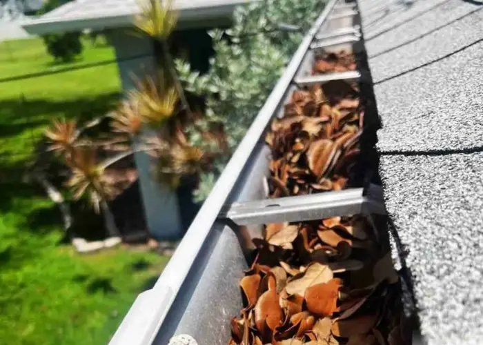 Gutter Cleaning Ocean View home page